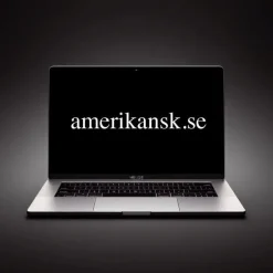 Tradera Domännamn AMERIKANSK.SE