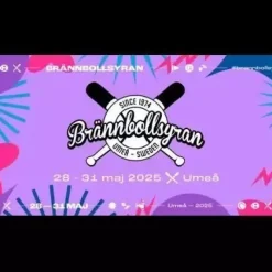 Tradera 2 biljetter brännbollsyran> Festivaler