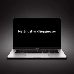 Tradera Domännamn BISTÅNDSHANDLÄGGARE.SE