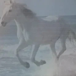 Tradera Kuvert & Brevpapper<3 Blå Brevpapper Häst Galopperande på Strand Linjerade Papper A4 Unika Fina