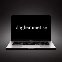 Tradera Domännamn DAGHEMMET.SE