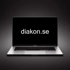 Tradera Domännamn DIAKON.SE