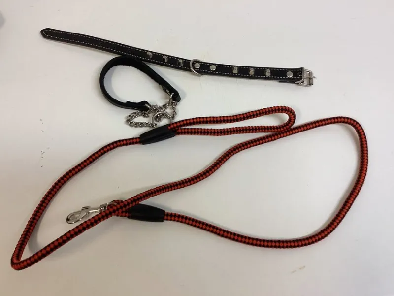 Tradera Husdjurstillbehör<2 halsband och 1 koppel