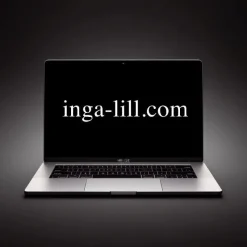 Tradera Domännamn INGA-LILL.COM