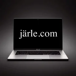 Tradera Domännamn JÄRLE.COM
