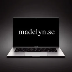 Tradera Domännamn MADELYN.SE