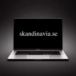 Tradera Domännamn SKANDINAVIA.SE