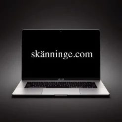Tradera Domännamn SKÄNNINGE.COM