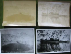 Tradera Allmänna Motiv<8 st fotografier valfångst vid South Georgia Ej vykort