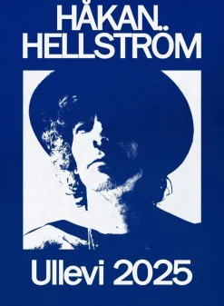 Tradera 1 st Ståplats 7/6-2025 Ullevi> Konserter