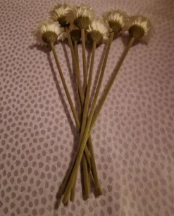 Tradera Konstgjorda Växter<7 st vita konstgjorda blommor / gerbera