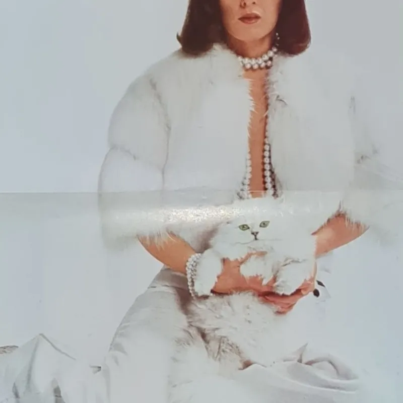 Tradera ABBA FRIDA POSTER 1976 SIZE 30 x 40 cm^ Musikposters