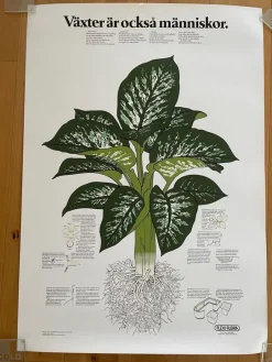 Tradera Affisch VÄXTER ÄR OCKSÅ MÄNNISKOR 70x100 Sv orig^ Affischer