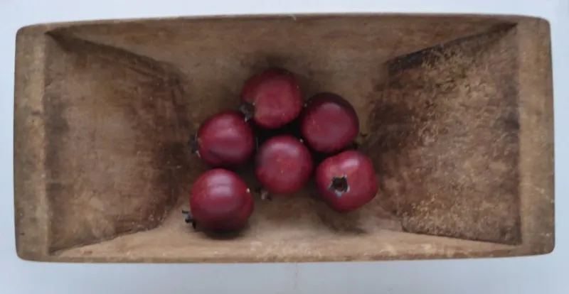 Tradera Antikt trätråg .> Allmoge