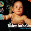 Tradera Babysimboken> Graviditets- & Barnböcker