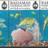 Tradera Bahamas 1999 National trust fiskar ha marin fauna 5v i strip^ Sydamerika & Karibien