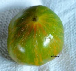 Tradera Växter & Frön<Berkley Tie-Dye Green bifftomat 5 frön