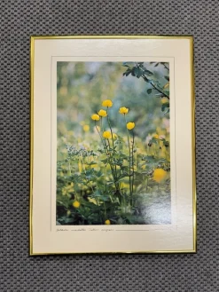 Tradera Bild med gulblommor^ Fotokonst