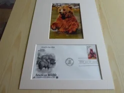 Tradera Brunbjörn fotografi & förstadagsbrev passepartout storlek A4^ Nordamerika