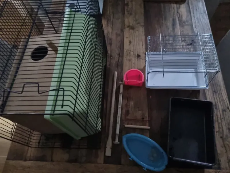 Tradera Husdjurstillbehör<Burar, holk och tillbehör för smådjur