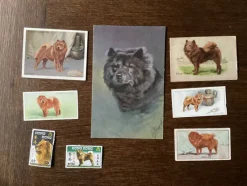 Tradera Allmänna Motiv<CHOW CHOW HUND VYKORT FINA ENGELSKA SAMLARBILDER SIDEN FRIMÄRKEN GAMMALT