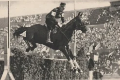 Tradera Olympia<Cigarette Picture Card Olympics 1932-Horse jumping
