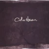 Tradera Cole Haan shoe dust bag-brown material-NO SHOES-38.5cm x 34cm (Weight: 22g)> Övriga Accessoarer