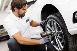 Tradera Domännamn<dackhotell.se