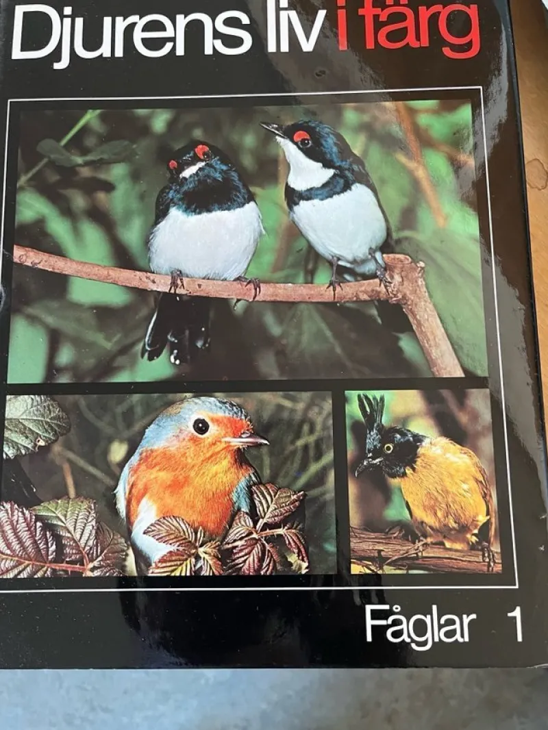 Tradera Djurens liv i färg: Fåglar 1 & 2> Naturalia