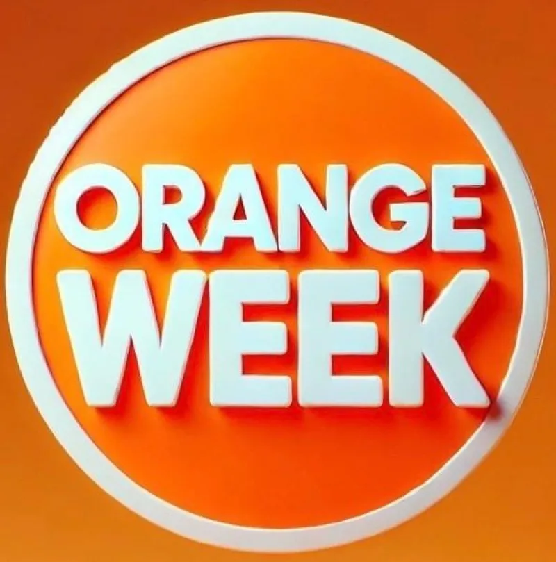 Tradera Domännamn<Domännamn: orangeweek.se