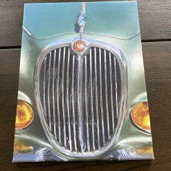 Tradera Duk med Jaguarmotiv^ Merchandise