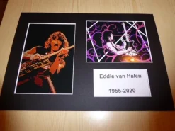 Tradera Musikmemorabilia<Eddie van Halen fotografi med passepartout storlek A4