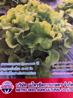 Tradera Växter & Frön<Eksallat / Ekbladssallat / Grön sallad från Thailand (20 frön)