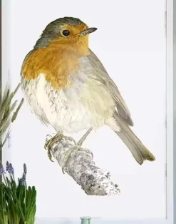 Tradera EMMA SJÖDIN PRINT RÖDHAKE 50X70 CM^ Övrig Konst