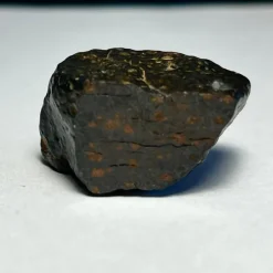 Tradera En halv sten av meteorit - Northwest Africa 15838 - CV3 - 17g> Arkeologi