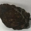 Tradera Eucrite meteorit breccia - NWA 15932 - Ändskärning - 75.3g> Arkeologi