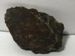 Tradera Eucrite meteorit breccia - NWA 15932 - Ändskärning - 75.3g> Arkeologi
