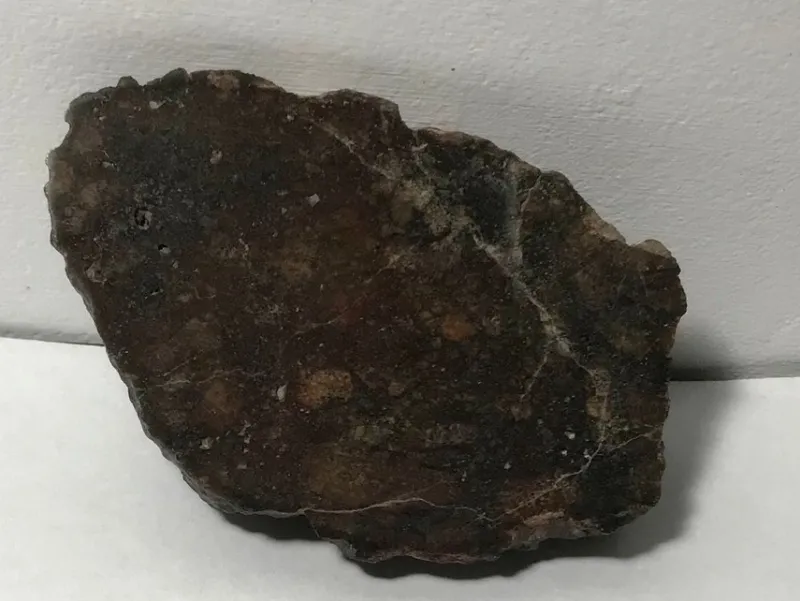 Tradera Eucrite meteorit breccia - NWA 15932 - Ändskärning - 75.3g> Arkeologi