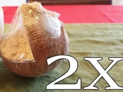 Tradera Trädgårdsdekorationer<Fågelmat - 2st - kokosnöt i snöre, spara pengar; återfyll - Fåglarnas favorit!