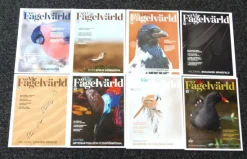 Tradera FÅGELTIDNINGAR 8ST ENL BILDER I MYCKET MYCKET FINT SKICK> Naturalia