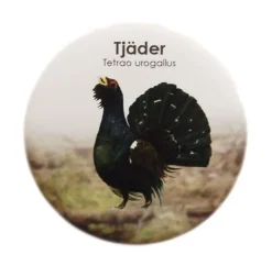 Tradera Magneter<Flasköppnare med magnet.Motiv Tjäder