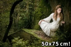 Tradera Flickan i trollskogen - Print på hela 50x75 cm Tavla - Begränsad upplaga 5/25^ Fotokonst