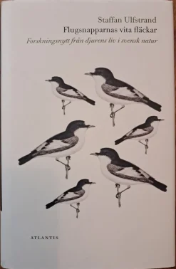 Tradera Flugsnapparnas vita fläckar - Forskningsnytt från djurens liv i svensk natur.> Naturalia