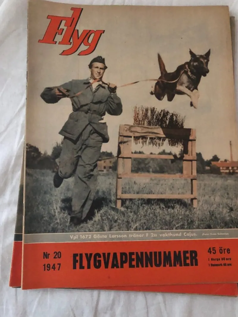 Tradera Flyg nr 20 Flygvapennummer 1947> Flyg- & Flyghistoria
