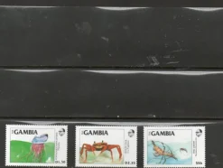 Tradera gambia 4^ Afrika