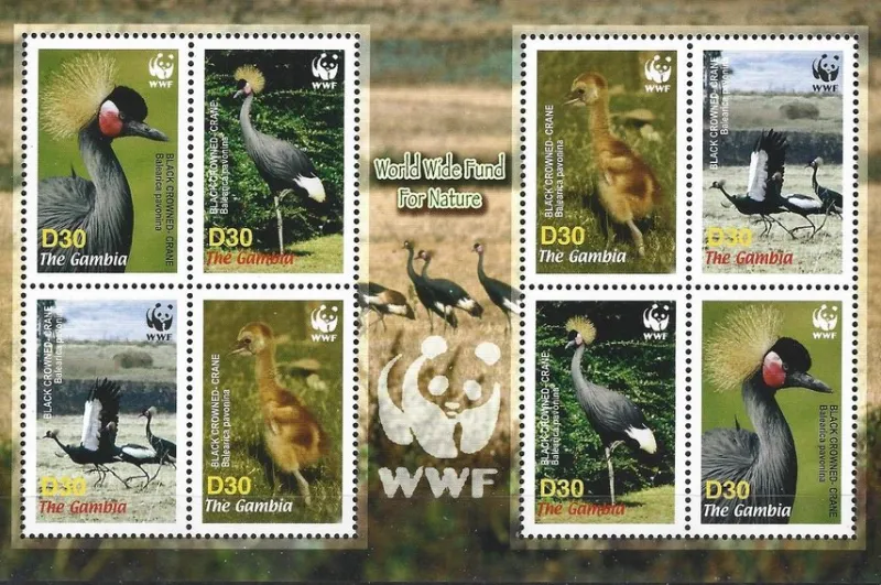 Tradera Gambia 2006 Tranor Fåglar 2x4v i block WWF^ Afrika