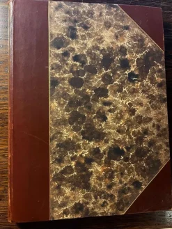 Tradera Goethes romerska elegier> Litteraturvetenskap