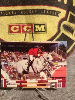 Tradera Häst & Ridsport<Greg Best - Horse Gem Twist # 8