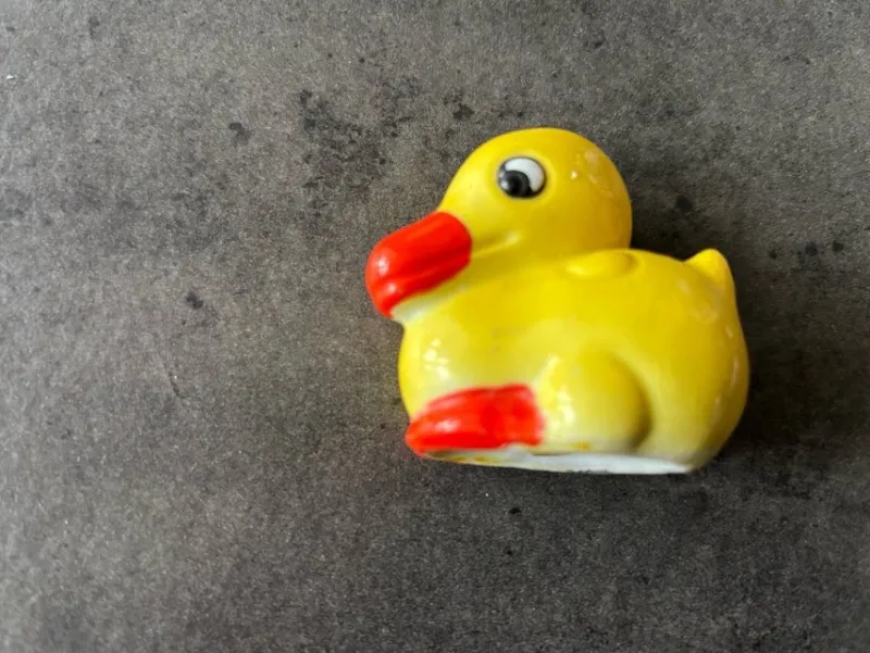 Tradera Gul anka salt kryddkar> Kuriosa