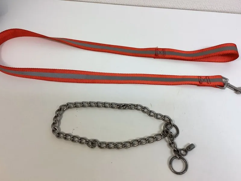Tradera Husdjurstillbehör<Halsband och koppel, halsband kedja